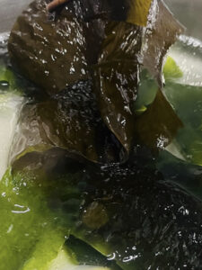 生わかめ