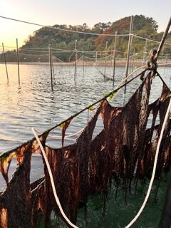 お待たせいたしました。